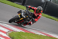 Middle Group Black Bikes